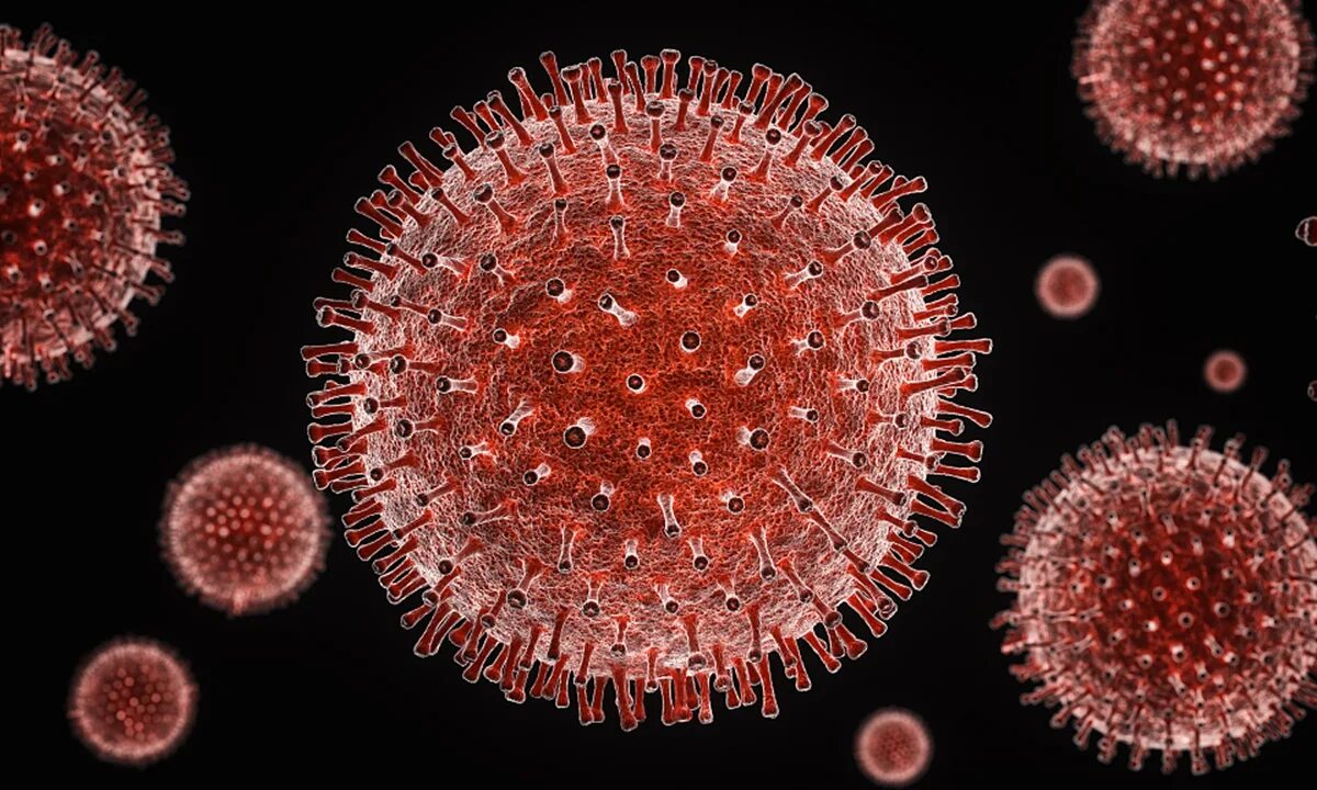 Emerging epidemics. Синтетические вирусы. Антитела вич под микроскопом. Вирусы в нанотехнологиях. Вирус.