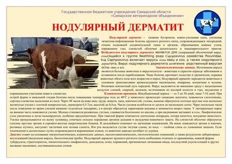Насилие крупнорогатого скота какая статья