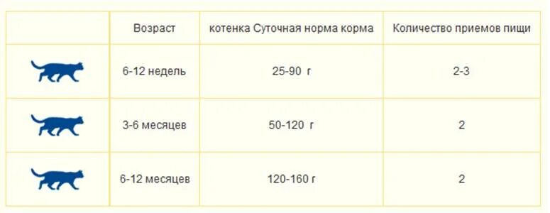 Сколько надо кормить кошку. Сколько корма нужно давать 4 месячному котенку. Сколько сухого корма давать котенку в 2 месяца. Как часто кормить кормом кота в 2 месяца. Сколько грамм корма нужно давать котенку 2 месяца.