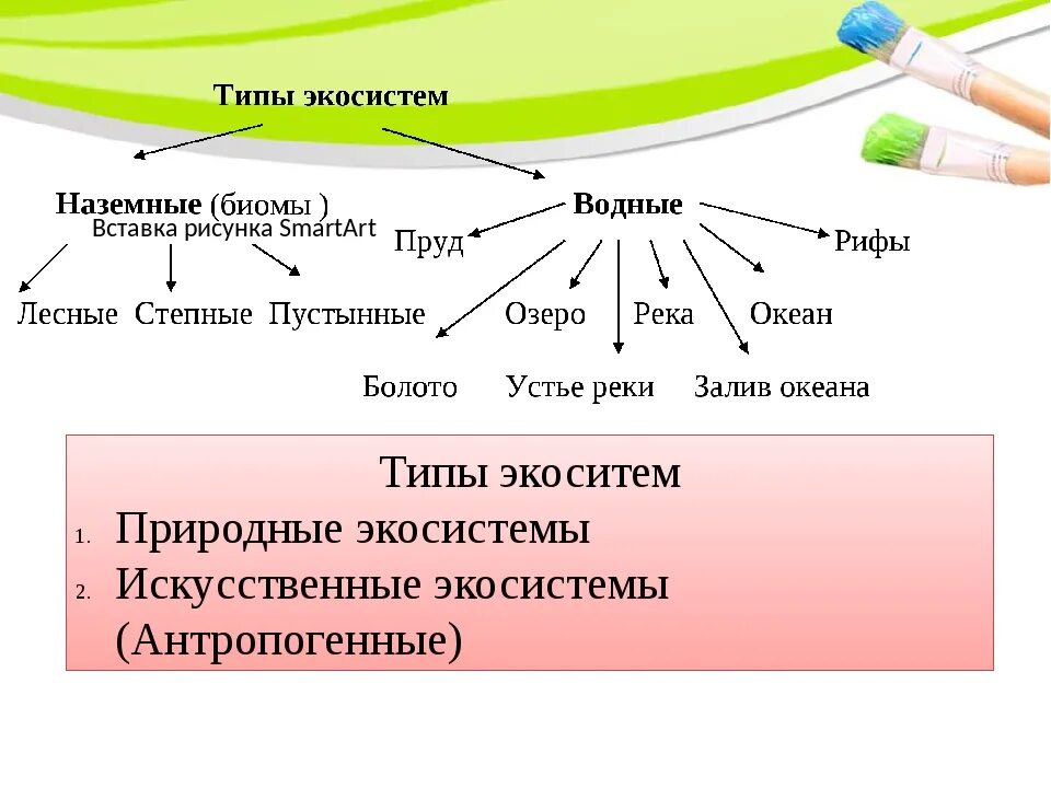 Природные экосистемы 11 класс. Классификация экосистем наземные водные. Типы экосистем. Наземные типы природных экосистем. Типы экологических систем.