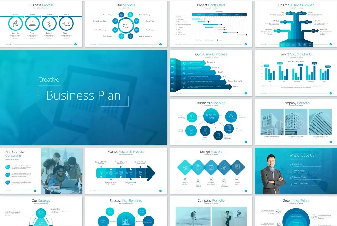 Portfolio company
