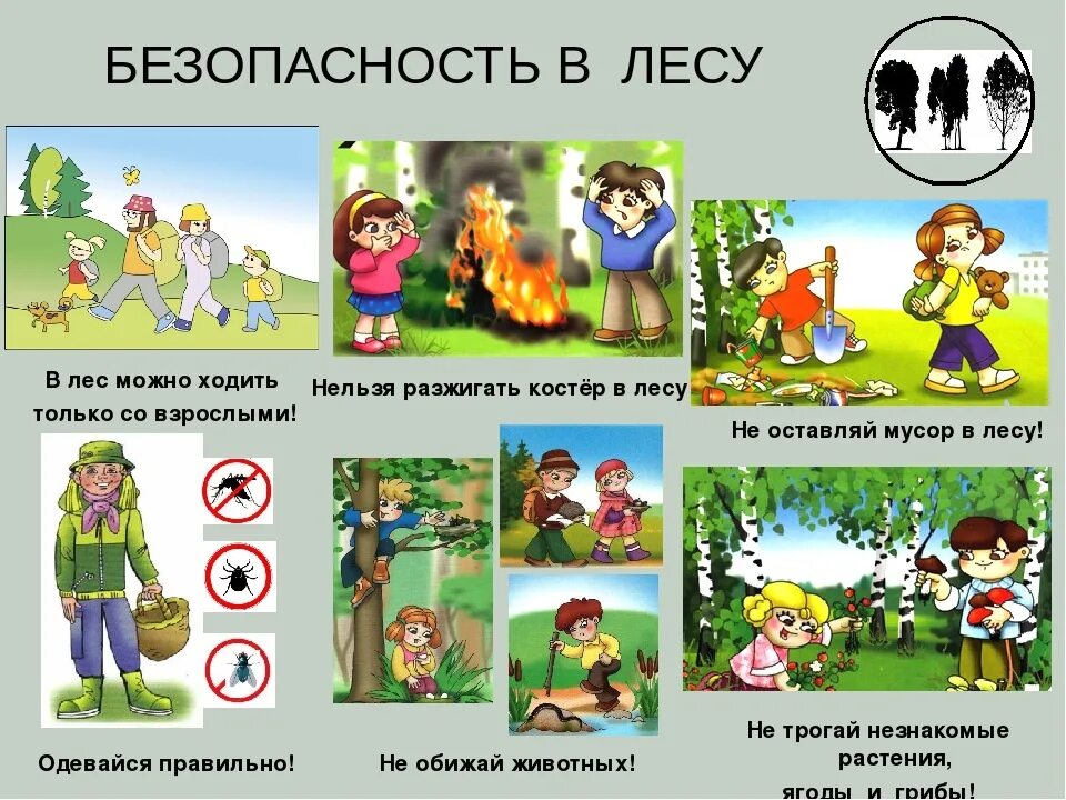 Правила поведения прогулки в лесу. Безопасность в лесу. безопасное поведение в лесу. безопасность в лесу для детей. памятка поведения в лесу.
