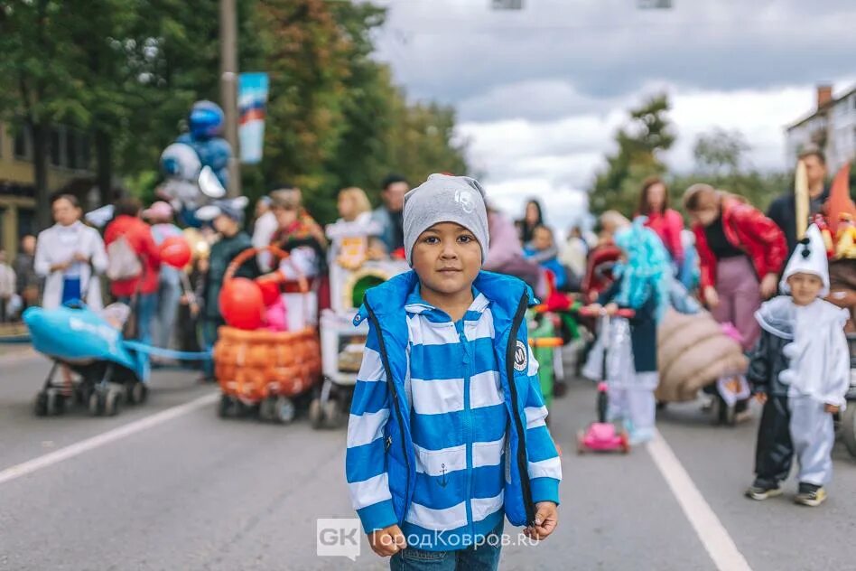 Программа в коврове