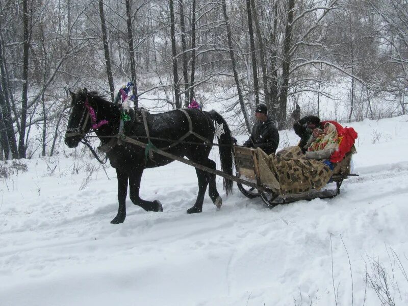 детская книжка сани. с днем сани. день сани. туризм волоконовский район. день сани.