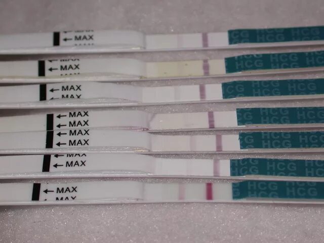 Укол ХГЧ тест на беременность. Тесты после укола ХГЧ. Может после укола ХГЧ тест положительный. Тест на беременность после укола ХГЧ.