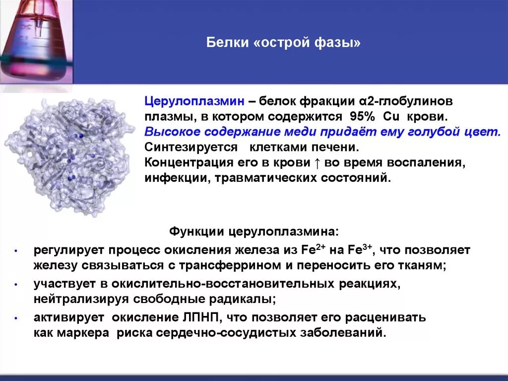 Белки-переносчики ионов металлов (трансферрин, церулоплазмин).. Церулоплазмин белок острой фазы. Белки острой фазы функции. Белки острой фазы крови. Церулоплазмин что это такое