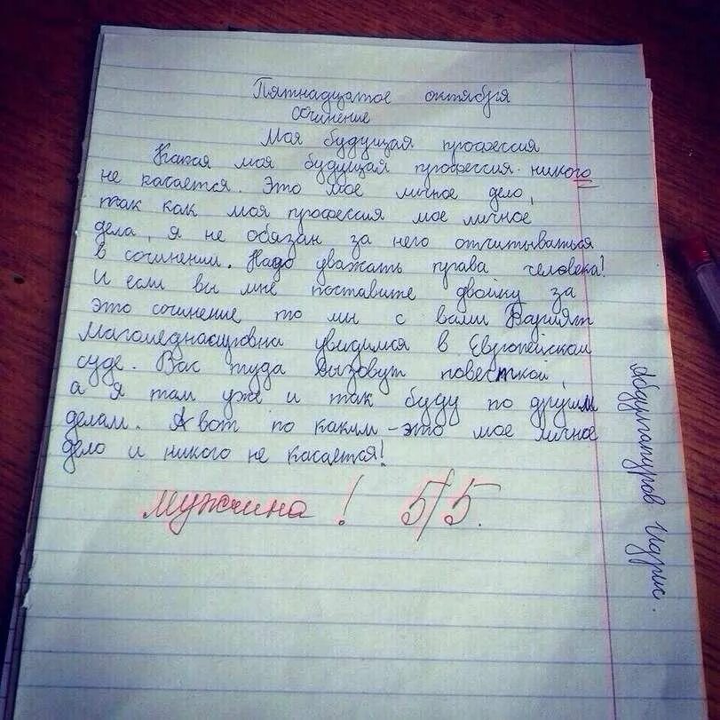 Сочинение во дворе детского сада стояло несколько. Сочинение. небольшое сочинение. маленькое сочинение. маленькое смешное сочинение.
