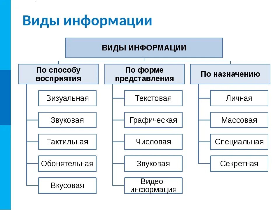 Форма информации бывает. Информация виды и свойства информации Информатика. Виды информации в информатике 10 класс. Какие есть виды информации. Перечислите основные виды и свойства информации..