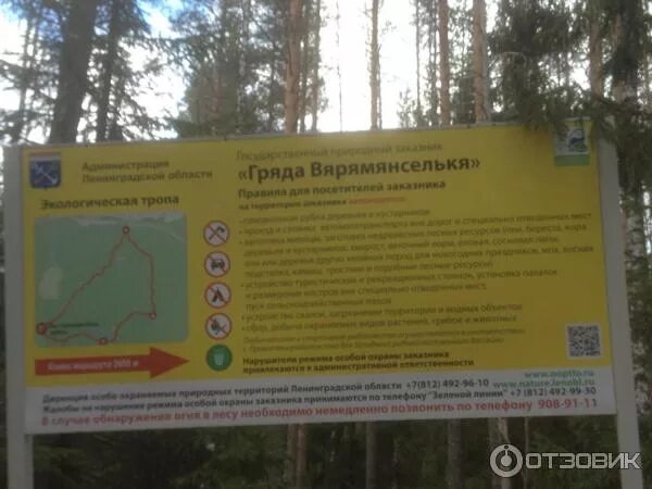 Гряда вярямянселькя как добраться. Гряда вярямянселькя экотропа. природный заказник гряда вярямянселькя. эко тропа гряда вярямянселькя.