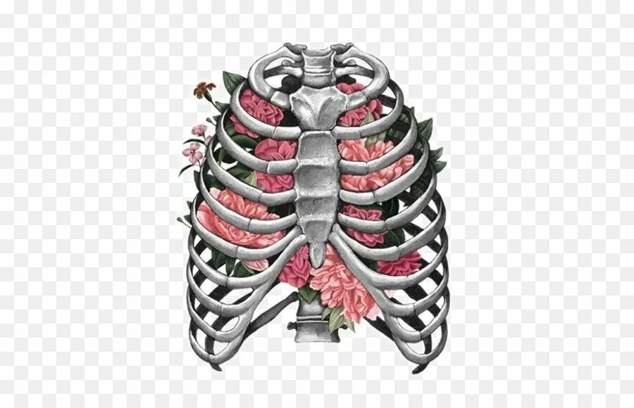 Цветочная анатомия. Цветы на ребрах. Грудная клетка в цветах. Цветы внутри человека. Грудная клетка с цветами.