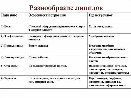Свойства и особенности строения липидов