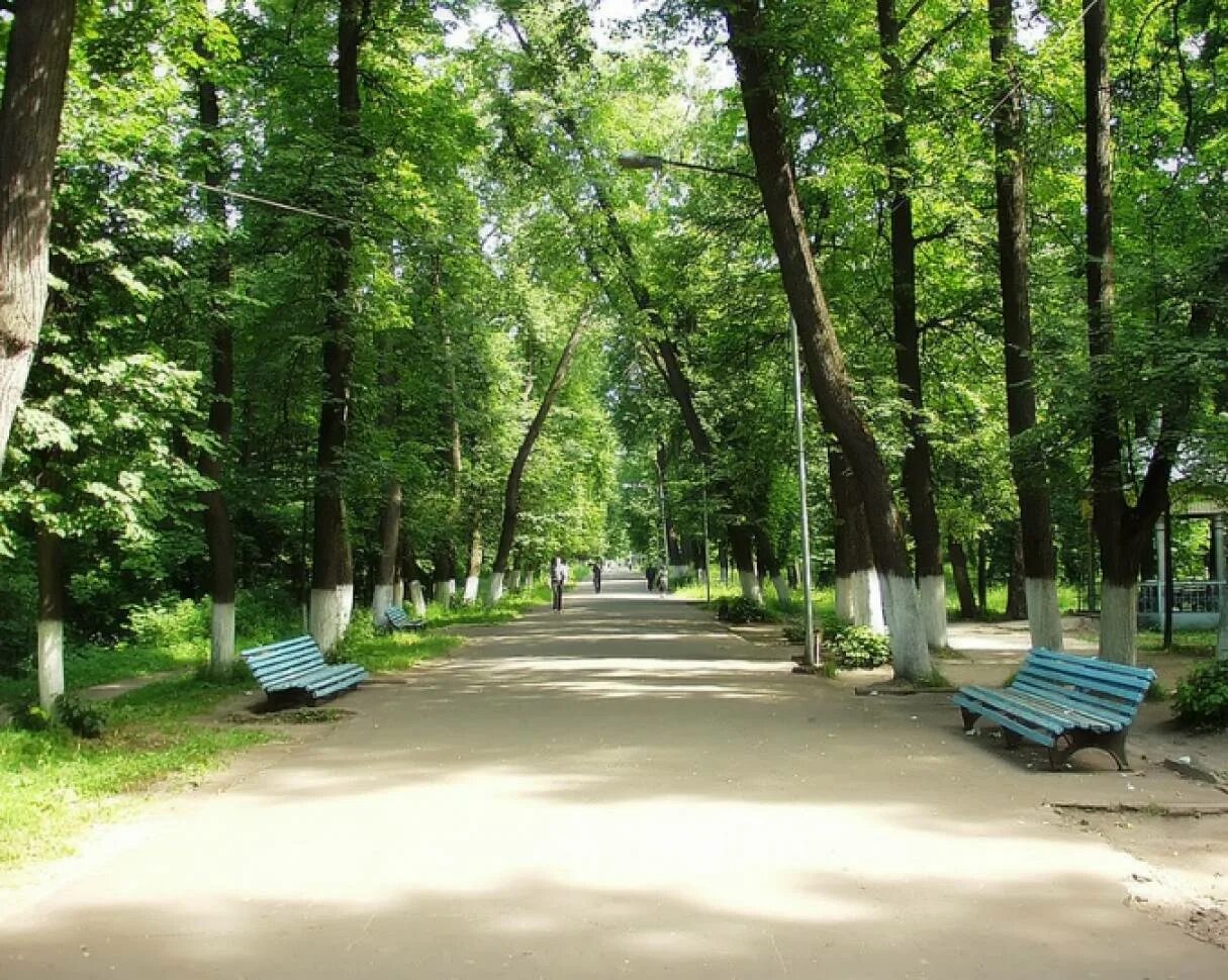 Выкса парк культуры и отдыха фото