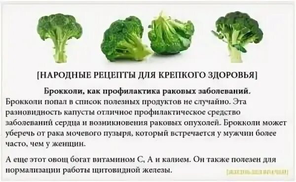 Брокколи полезно есть