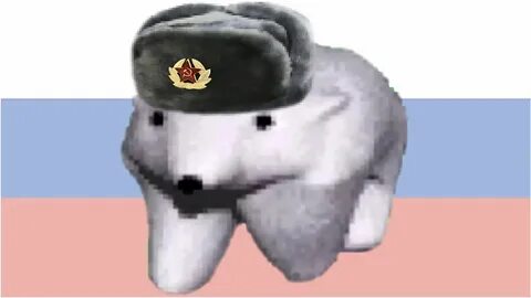 Ушанка мем