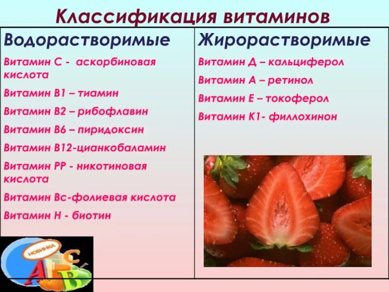 Витамины классификация и функции. Классификация витаминов. витамины классификация витаминов. классификация водорастворимых витаминов. функциональная классификация витаминов.