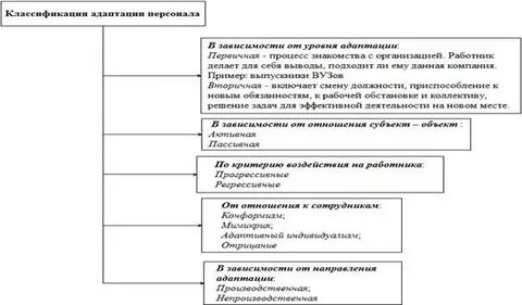 Адаптация цели и формы адаптации