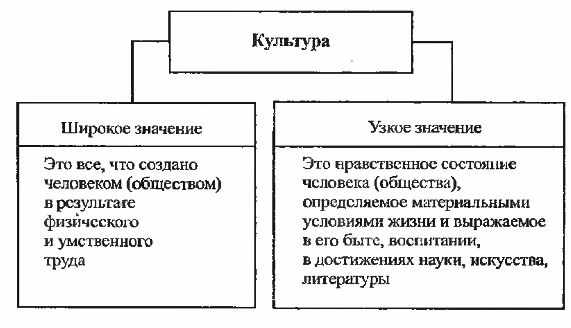 3 широких значения общества
