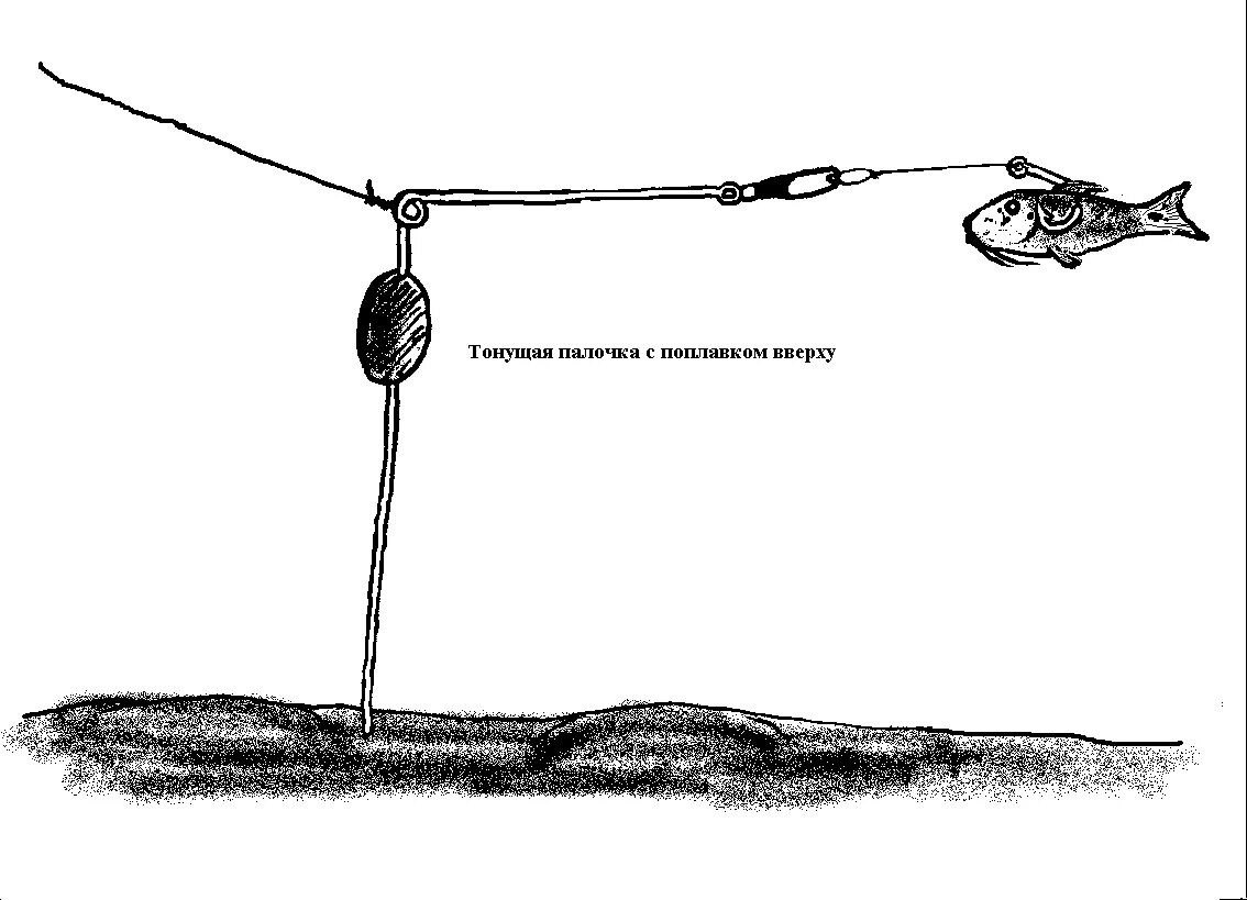 Снасть на ловлю с берега. Ловля сома на донку с лодки. Оснастка для ловли сома с берега. Оснастка на сома для донки. Донная снасть для ловли сома с берега.