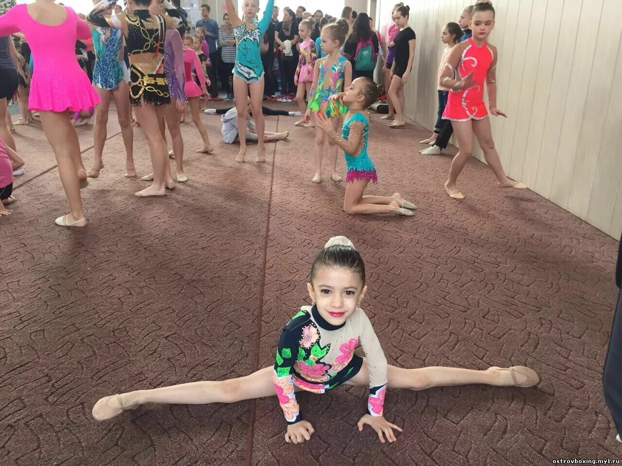 малаховка спортивный институт. спортивная акробатика канск. мгафк малаховка гимнастика. мгафк малаховка. соревнования по художественной гимнастике в малаховке.