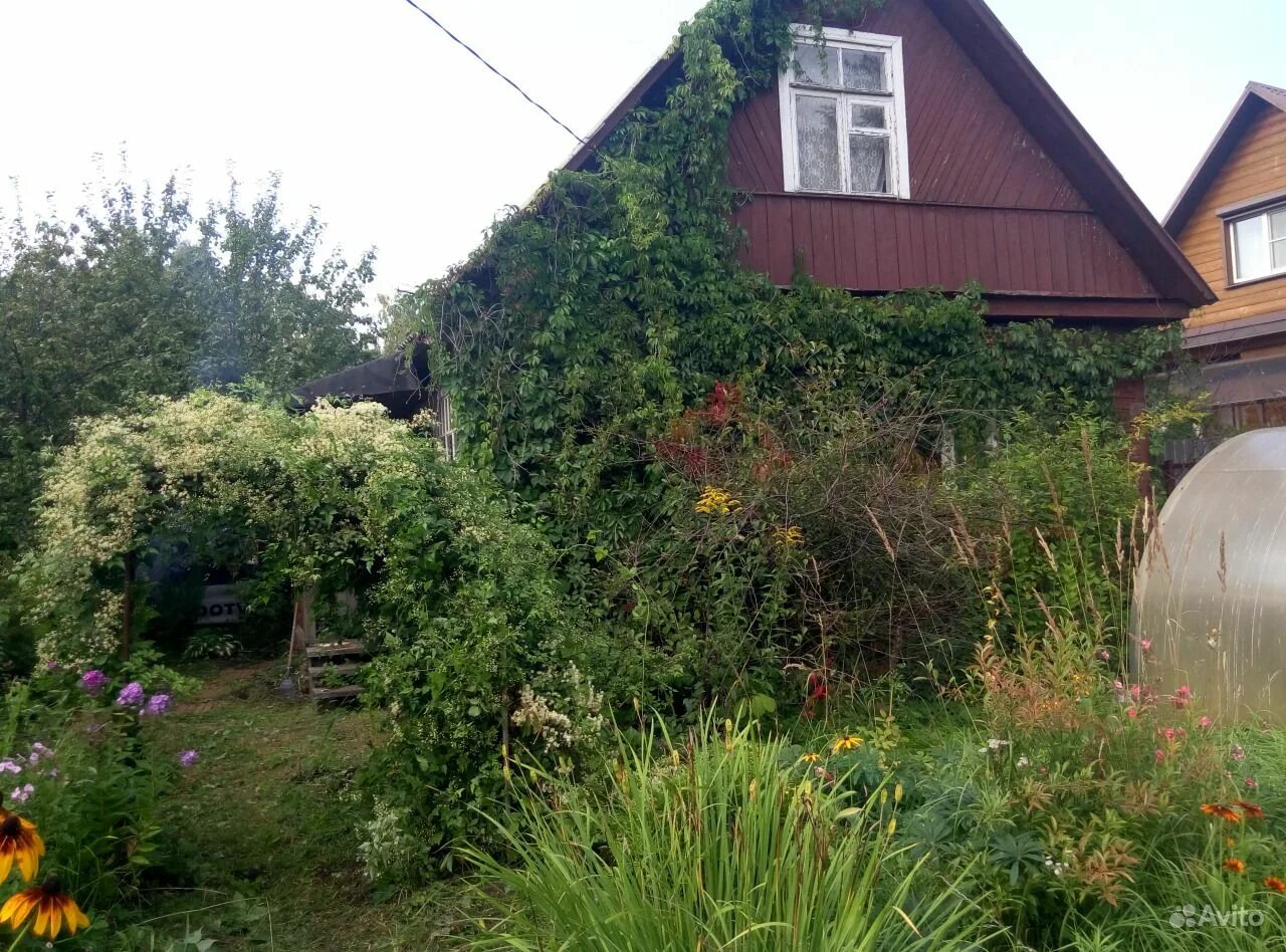 Купавна 33км. Старая купавна купавна снт радуга. дом снт радуга купавна. &quot;продам дачу 1-я линия снт-7  &quot;89065495246&quot; конаково&quot;. снт московская правда 3.