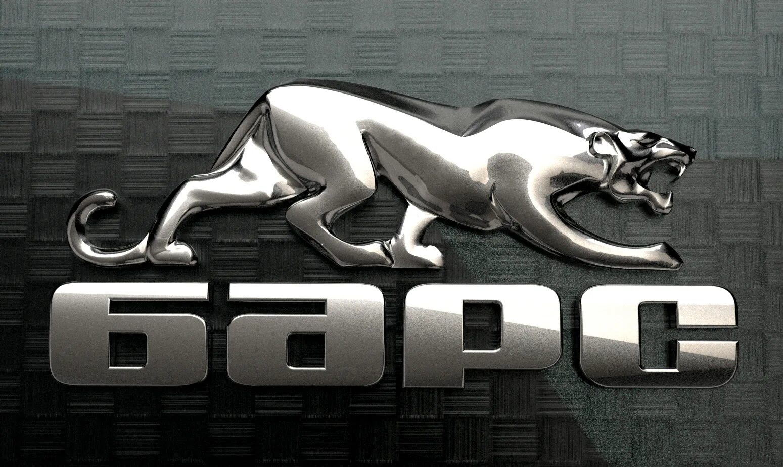 Медицинская система барс. Барс техподдержка. Мис барс логотип. Снежный барс лого. Эмблемы охраны чоп.