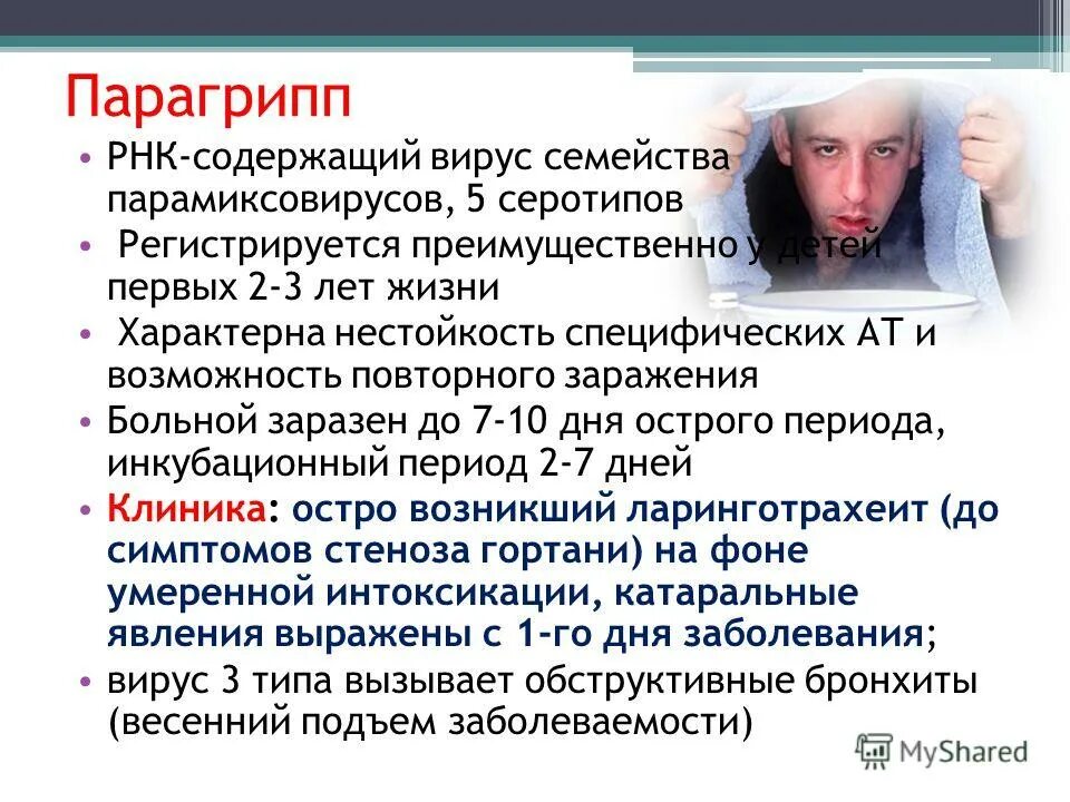 Грипп повторное. Клинические симптомы парагриппа. Парагрипп клинические проявления. Парагрипп симптомы у взрослых. Парагрипп симптомы.