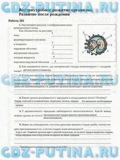 Биология 8 класс драгомилов параграф 2