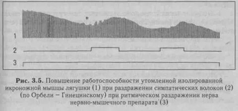Феномен орбели гинецинского