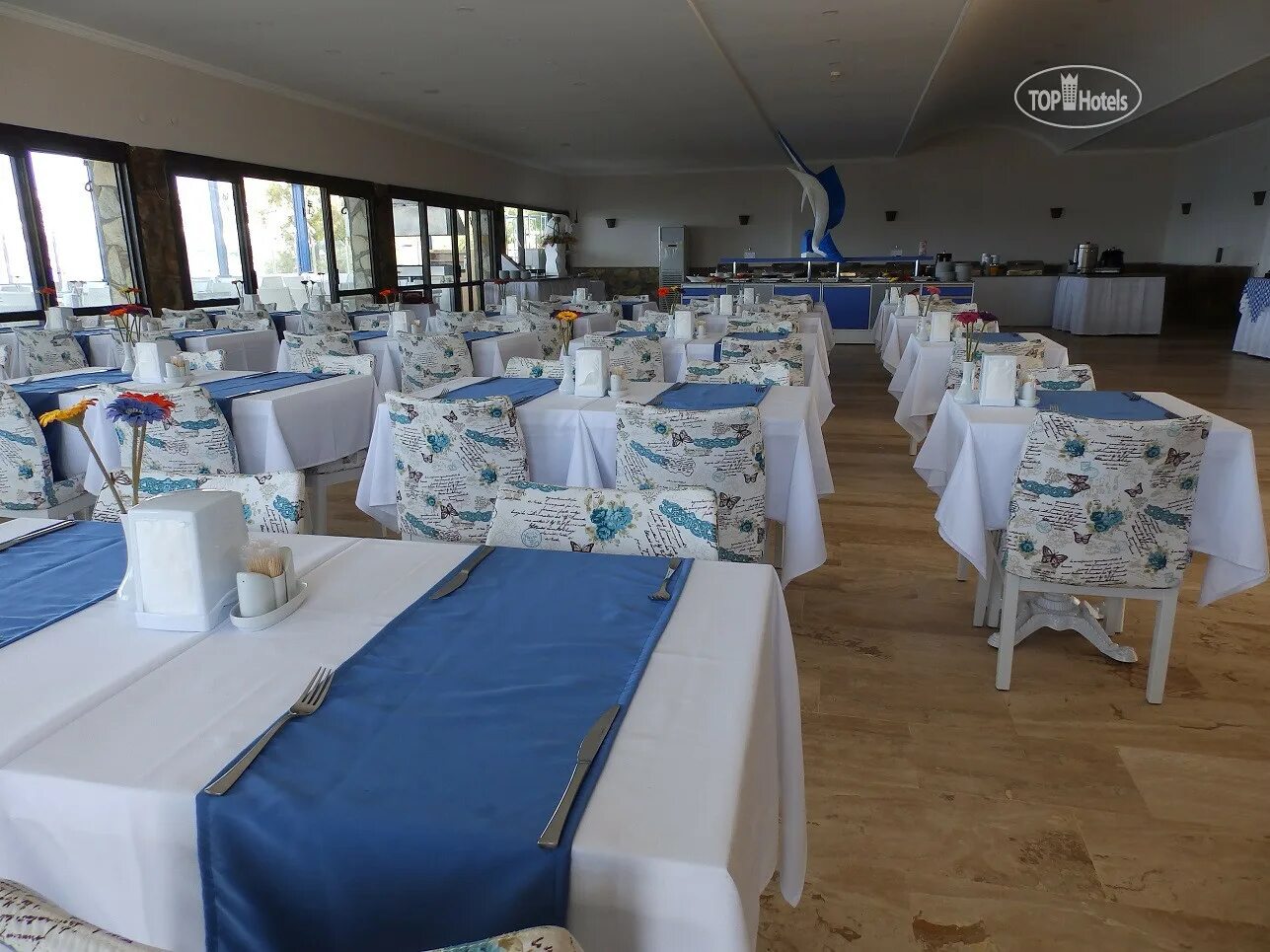 Club blue white bodrum. Клуб бело синих. Клуб бело синих. Club blue white bodrum. Цвета фк зенит.