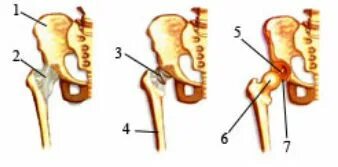 Гей жігіттердің секс түкті бұлшықеттері