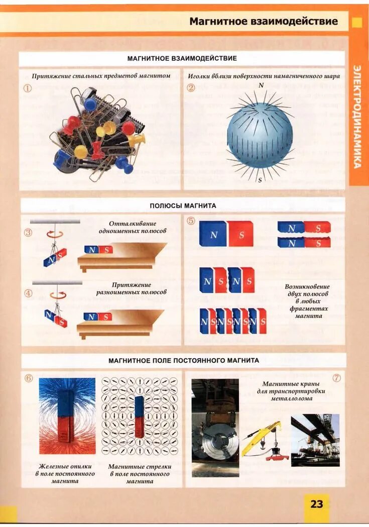 Полюса магнитов и их взаимодействие. Взаимодействие магнитов картинки. Магнитное взаимодействие 5 класс. Как взаимодействуют полюса магнитов. Взаимодействие магнитной стрелки и постоянных магнитов