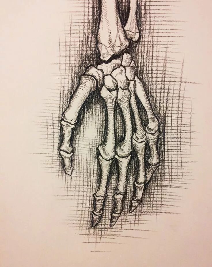 Skeleton hands