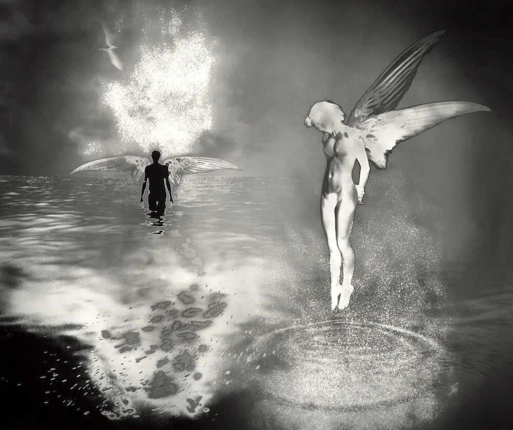 запятнанные ангелы 1957. счастливого нового года грязное животное. ангелы с запятнанными душами. гангстерский фильм один дома. с рождеством грязное животное.