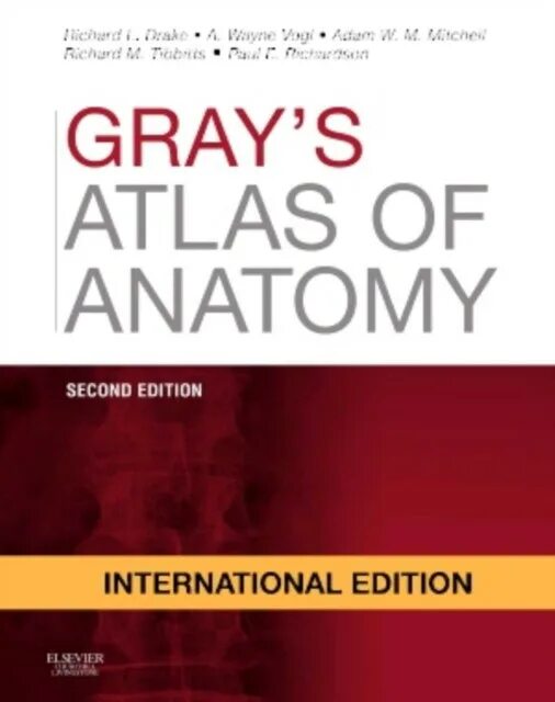 Атлас грея. Richard Drake Anatomy. Atlas Gray. Дрейк - анатомия Грея для студентов. Drake Gray's Atlas.