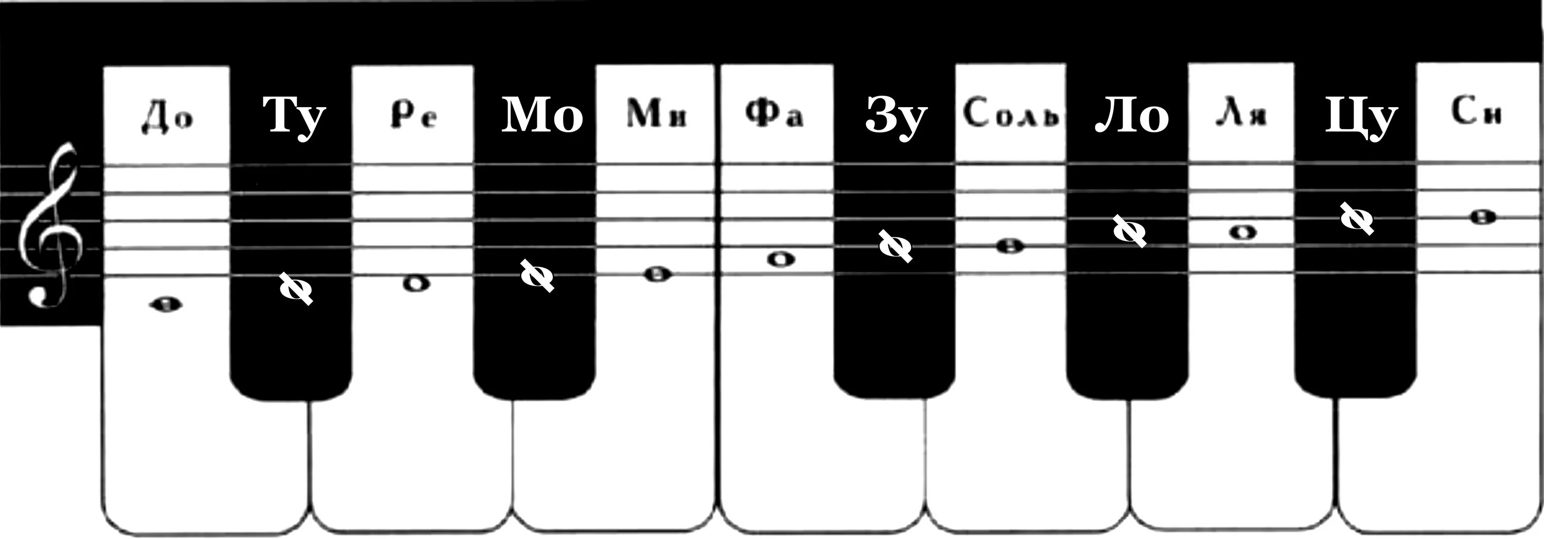 Нот 12. Название 12 нот. Хроморяд Белецкого. Дредми 12 нот.