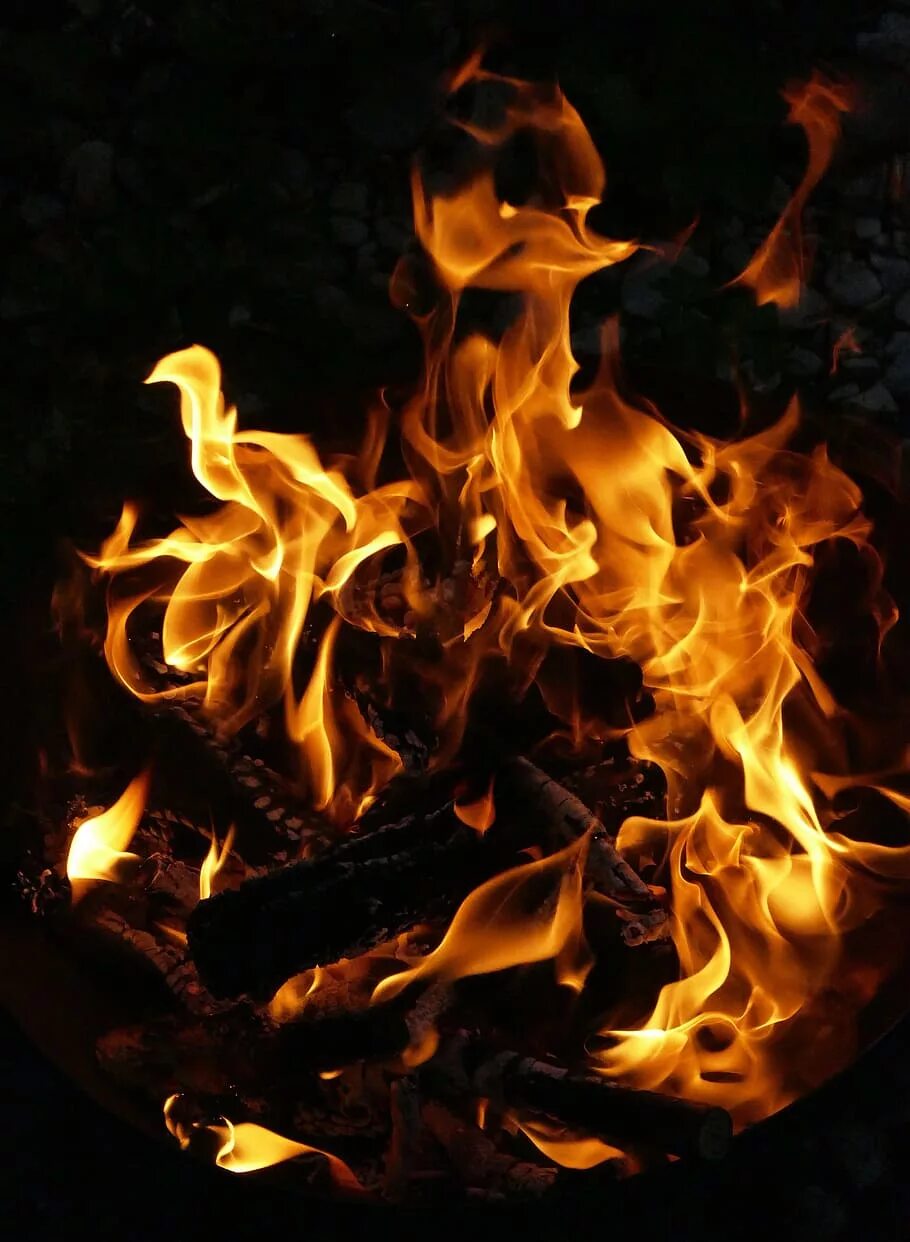 Огонь. Красивый огонь. Огонь горит. Изображение огня. Включи горит огня