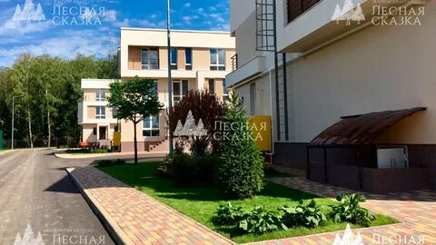 Лесная сказка троицк