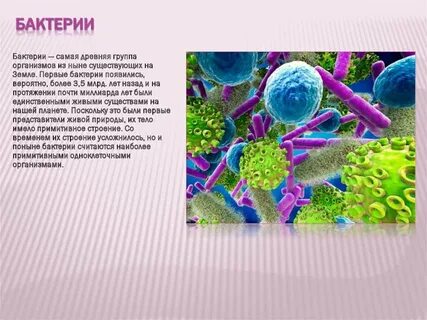 Почему бактерии считают самыми древними обитателями
