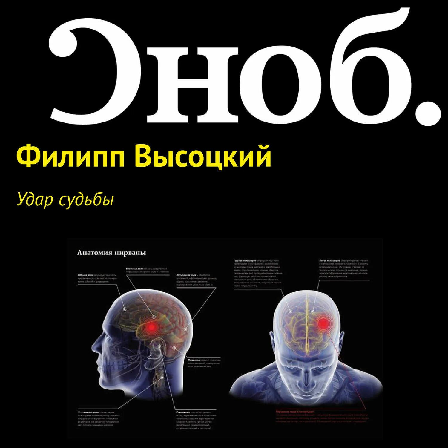 Подарки и удары судьбы 32. Удары судьбы. Удар удар Высоцкий. Подкаст судьбы. Удар судьбы картинки.