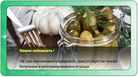 Есть ли ботулизм в огурцах