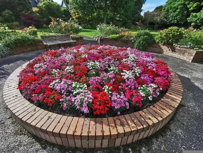 Créer un parterre de fleurs rond : idées et conseils à suivre