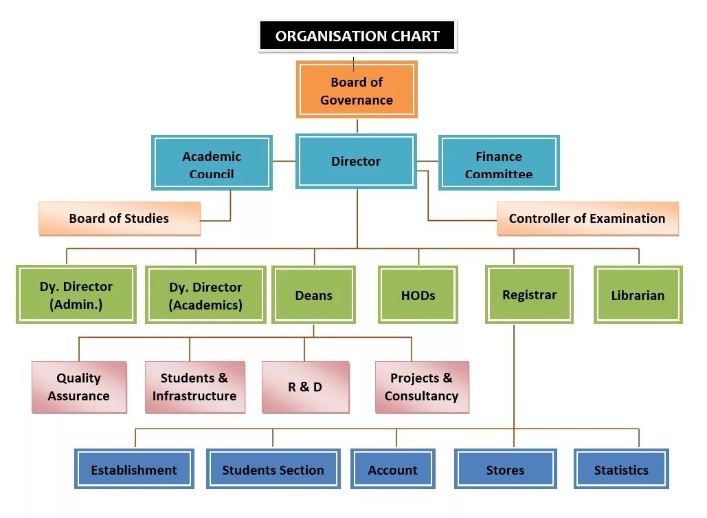 Организационная диаграмма организации. Organizational structure of the Company. Дизайн организационной диаграммы. Organizational Chart of the Company.