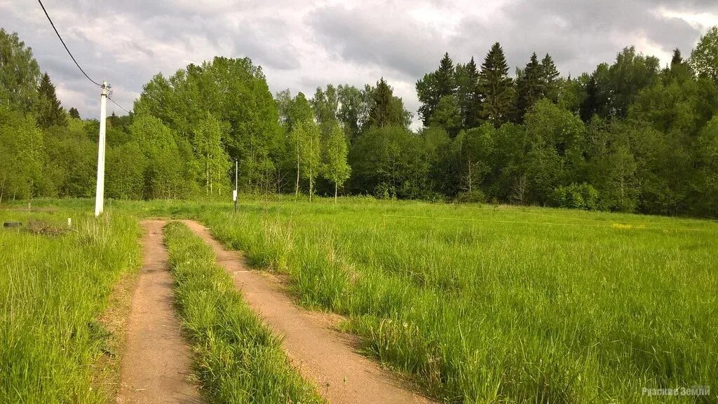 Участок между двумя реками 5. Река в лесу дачный поселок. Развалины плотины уйской ос. Безопасные и качественные автомобильные дороги. Красивый земельный участок e htrb фото.