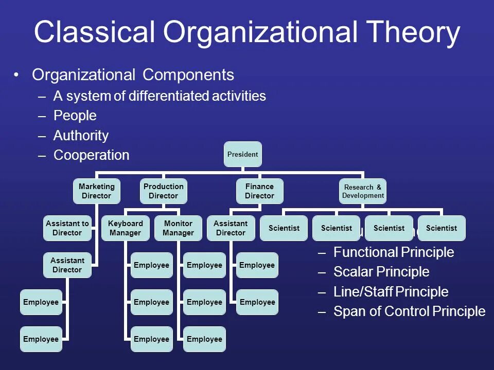 Functional development