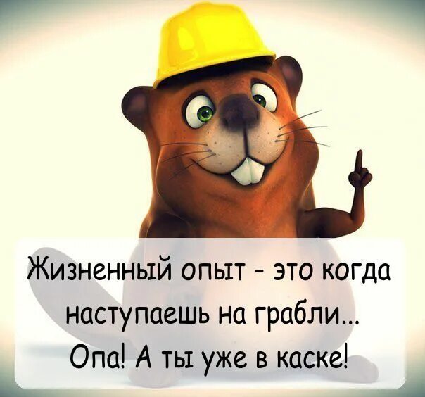 Прийти на помощь жизненный опыт. Жизненный опыт а ты уже в каске. Жизненный опыт юмор. Жизненный опыт. Жизненный опыт это когда наступаешь на грабли.