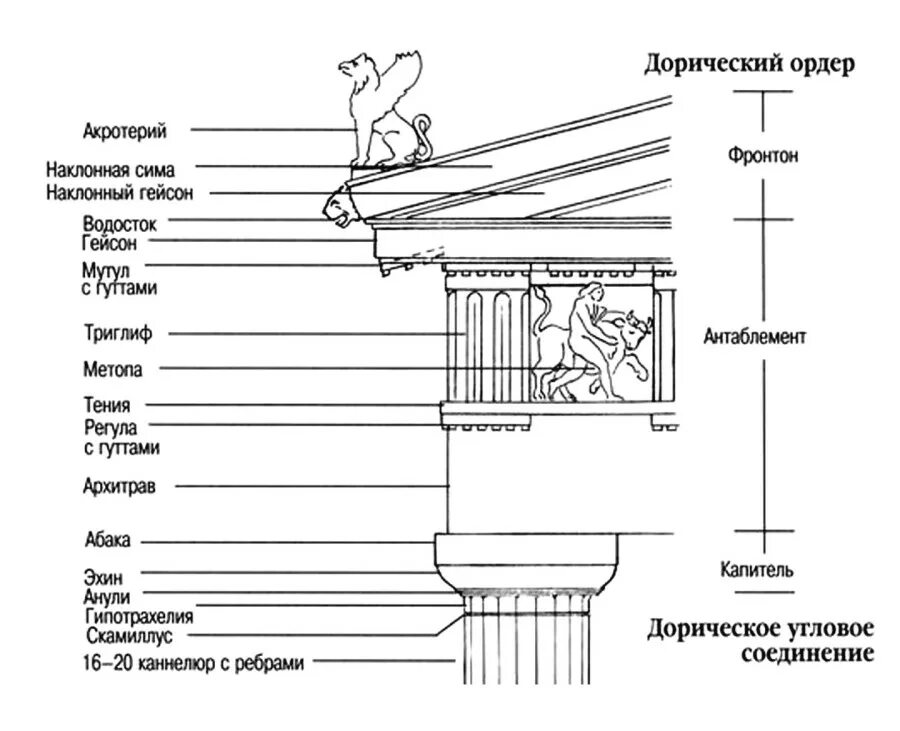 Значение ордера. Строение капители дорического ордера. греческий дорический ордер детали капители и антаблемента. антаблемент в архитектуре в древней греции. антаблемент ионического ордера.