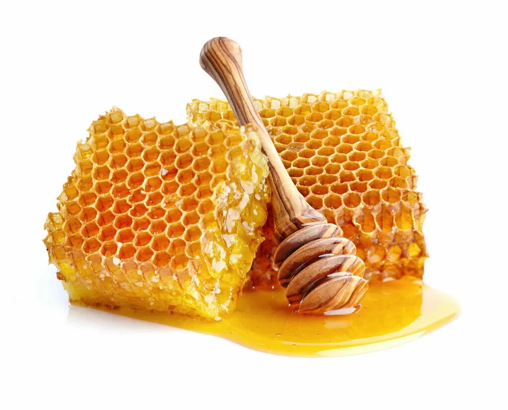 Мёд в сотах. Медовые соты. Пчелиные соты с медом. Мёд и продукты пчеловодства. Мед и продукты пчеловодства