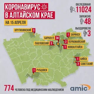 Коронавирус 2024 в алтайском крае