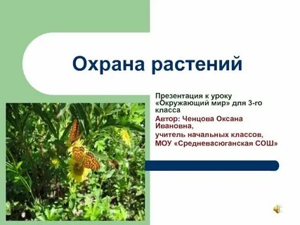Охрана растений презентация 3 класс окружающий