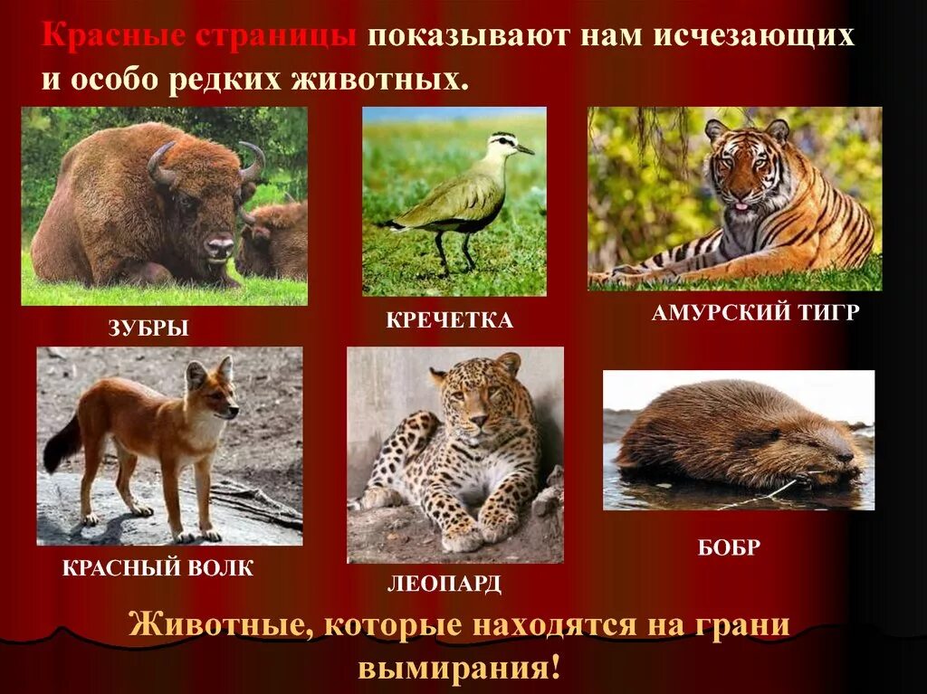 Примеры красной книги россии